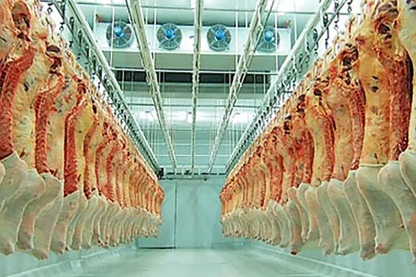 Cámara frigorífica comercial moderna para almacenamiento de alimentos y productos perecederos en Valladolid